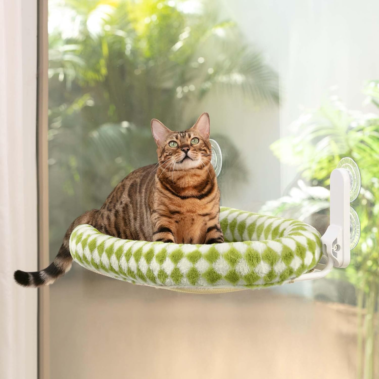 Opvouwbare Kattenraambed - Dubbel Opklapbaar met Zuignappen